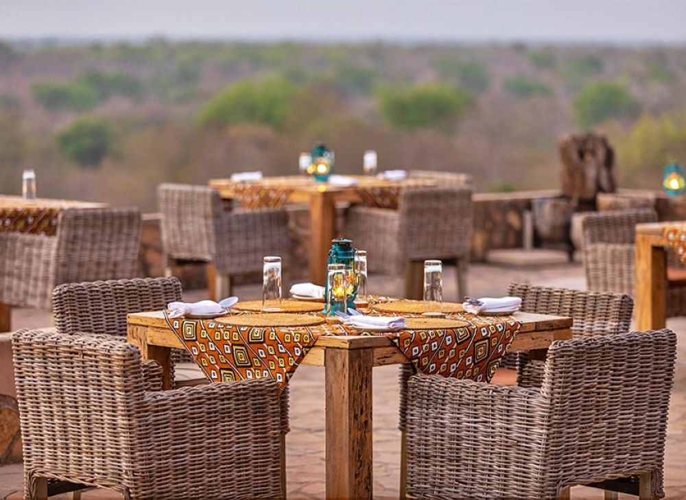 Wildlife Adventure Image