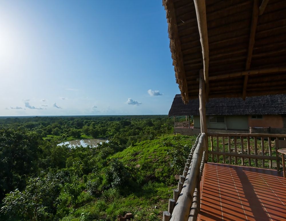 Wildlife Adventure Image