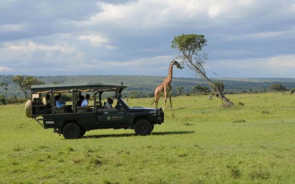 Luxury Masai Mara Safari Image