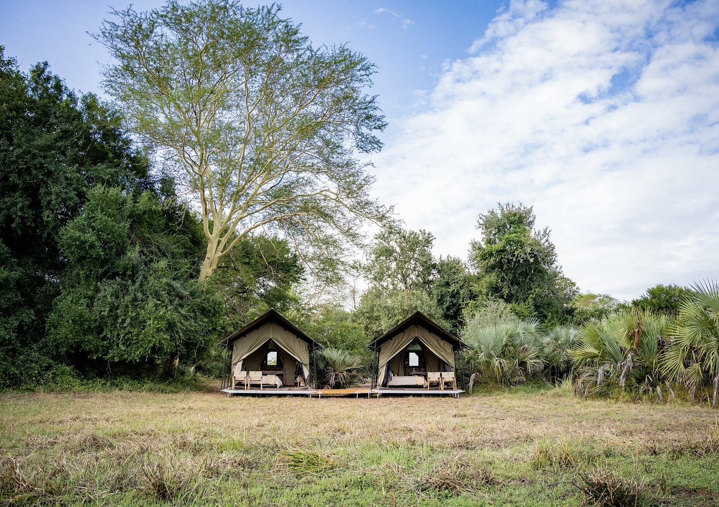 Gorongosa Azura Marlin Image